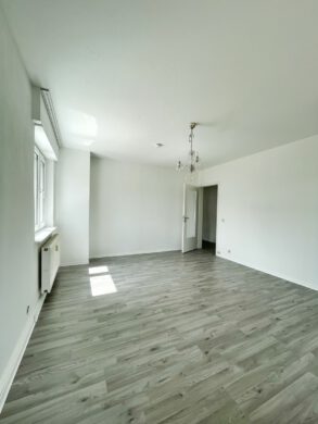 Renovierte 2-Zimmer-Wohnung mit schönem Balkon!, 55543 Bad Kreuznach, Wohnung